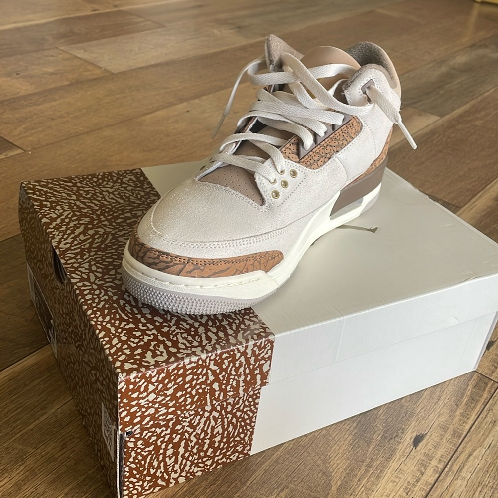 Air Jordan 3 retro